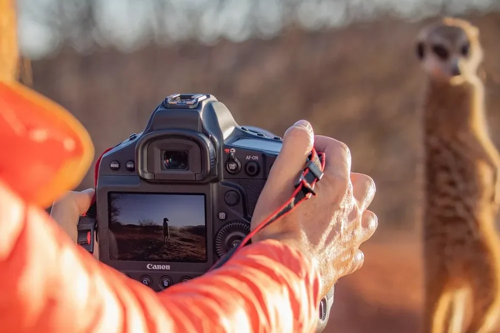 Canon EOS-1D X Mark III - High-speed DSLR hire for sports and wildlife
