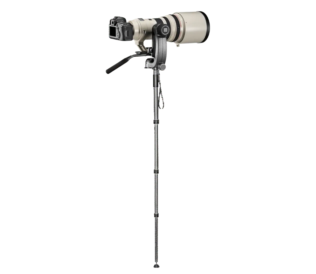 Gitzo Series 4 Monopod with Fluid Head