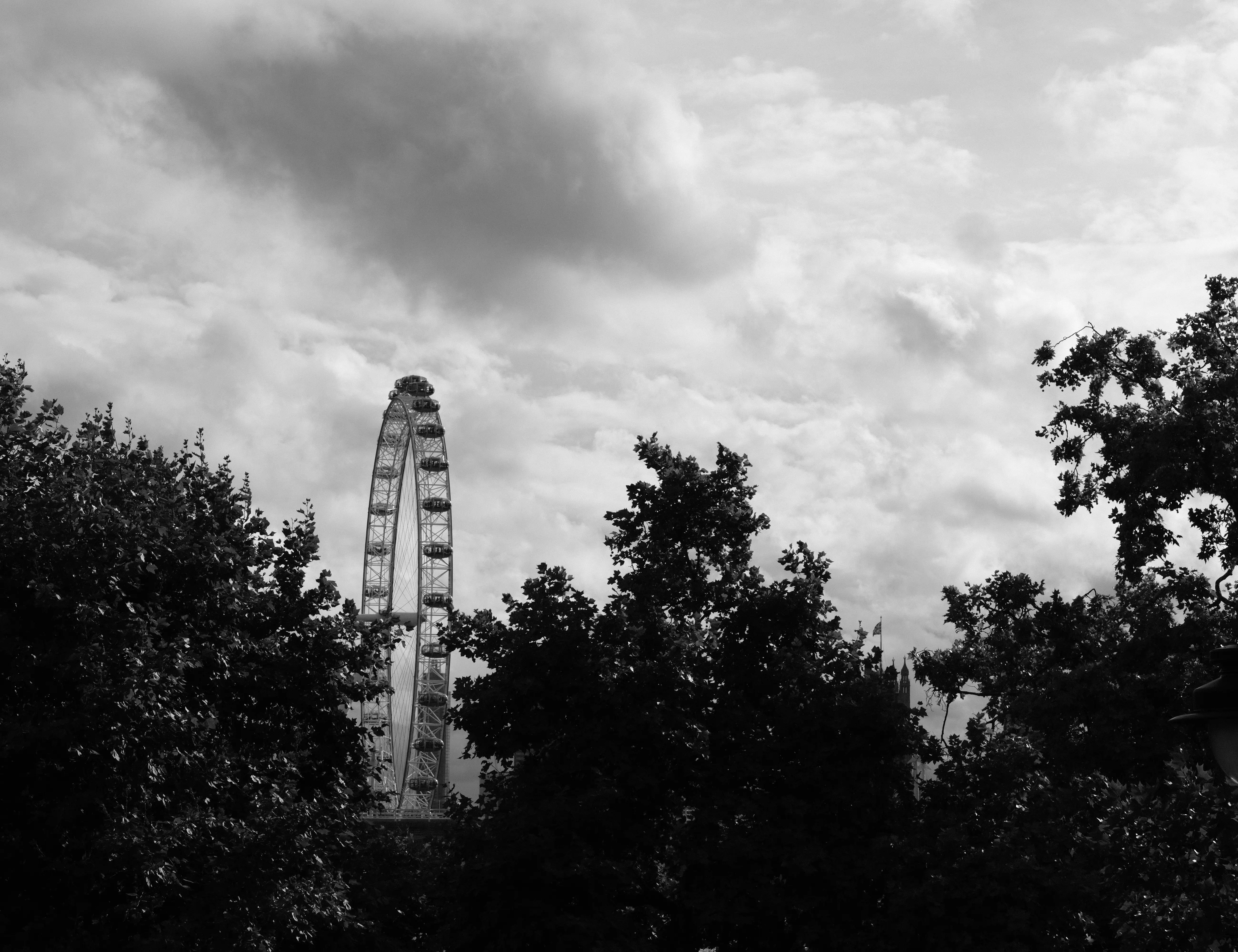 Hire Photowalk: Shoot Like Film - Image 4