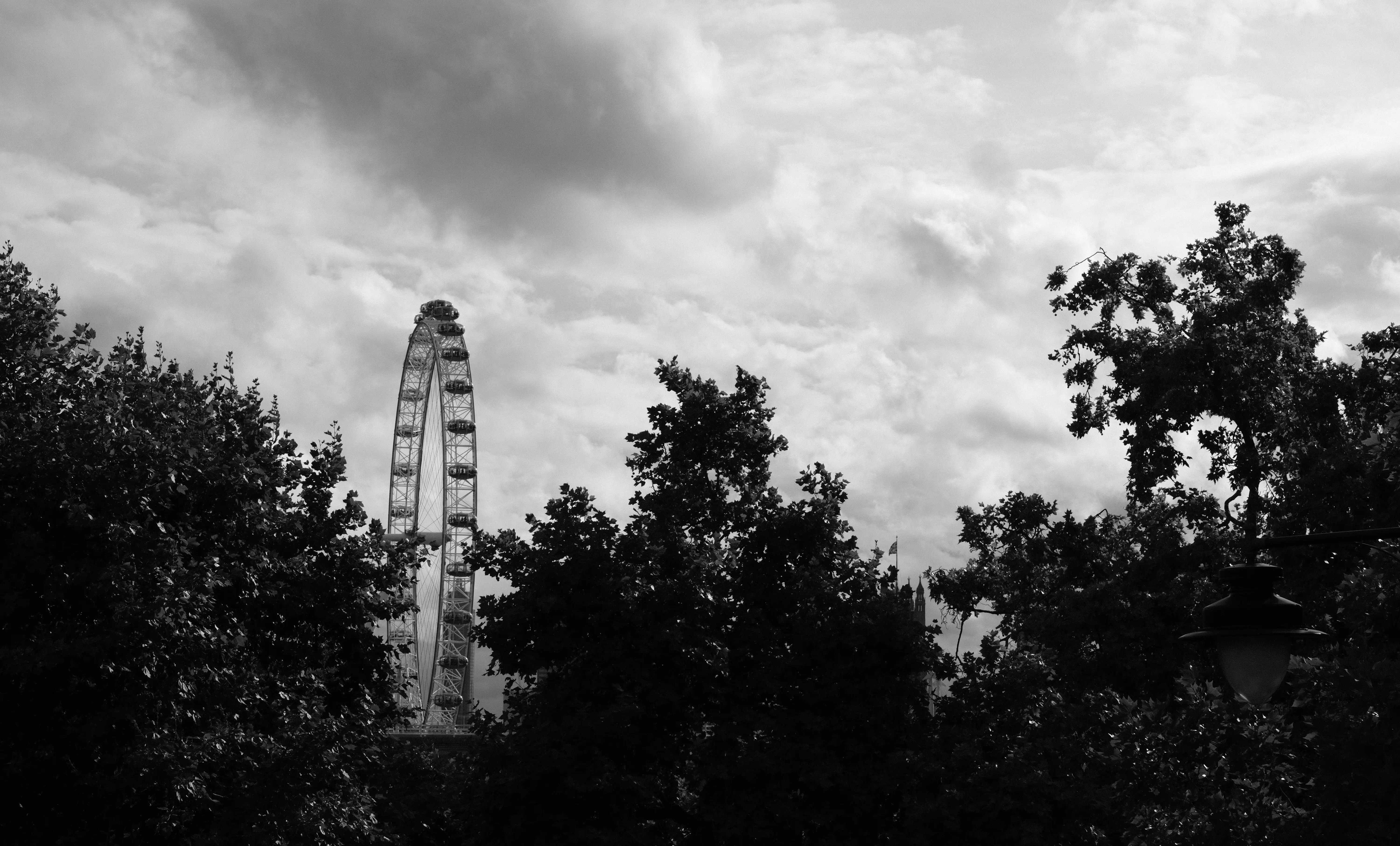 Hire Photowalk: Shoot Like Film - Image 1