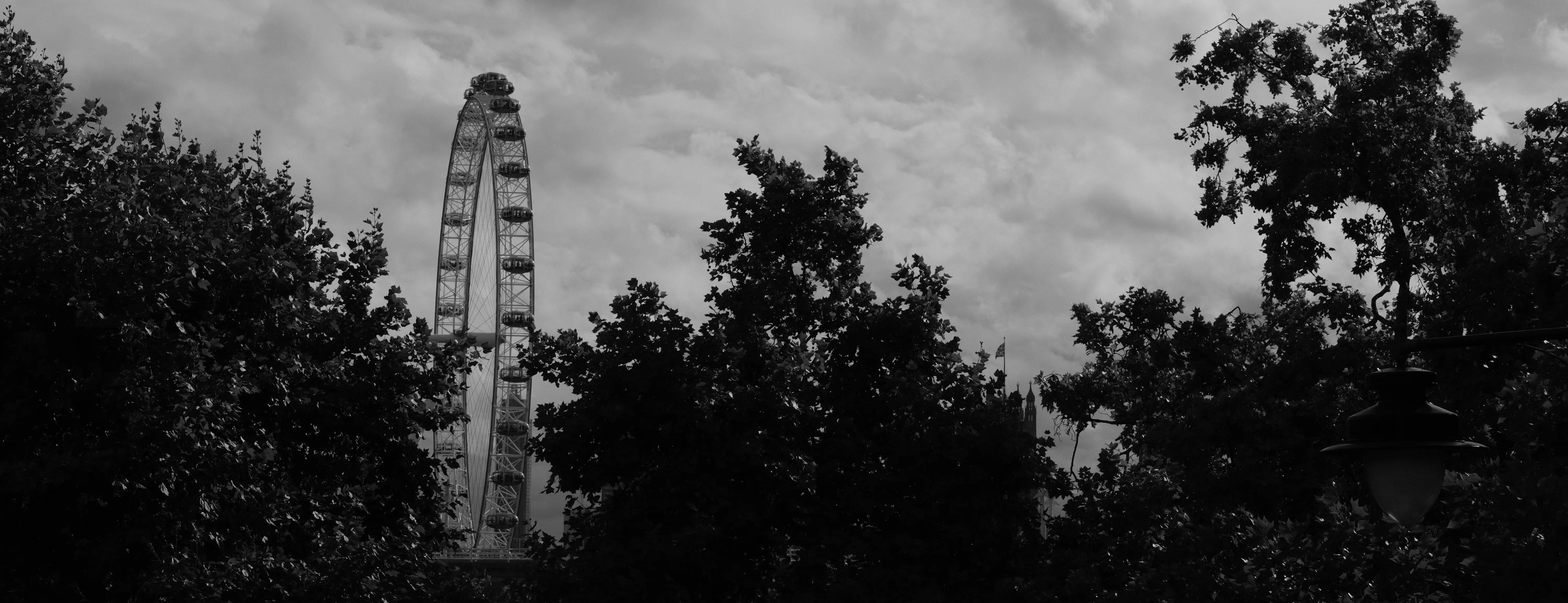 Hire Photowalk: Shoot Like Film - Image 3