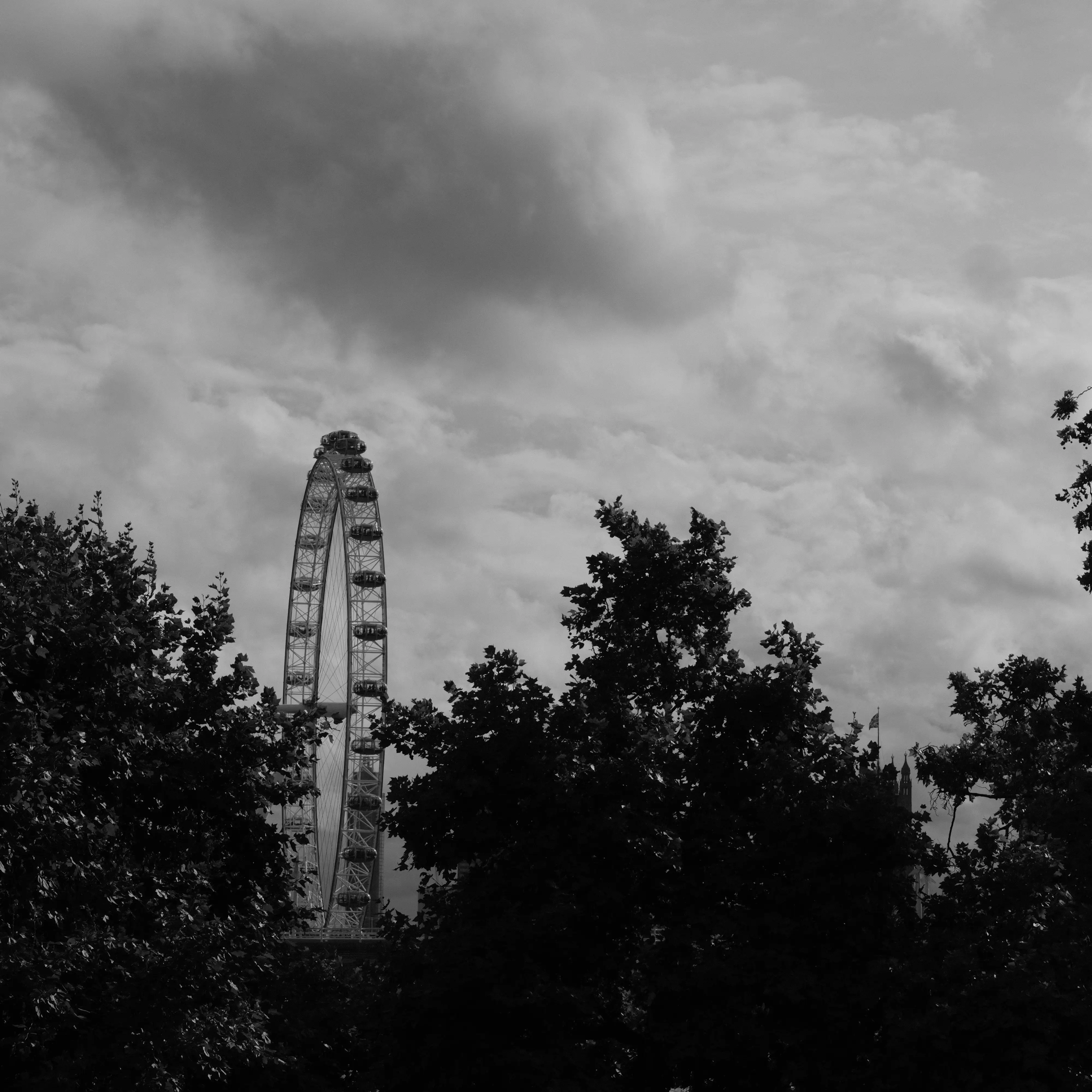 Hire Photowalk: Shoot Like Film - Image 2