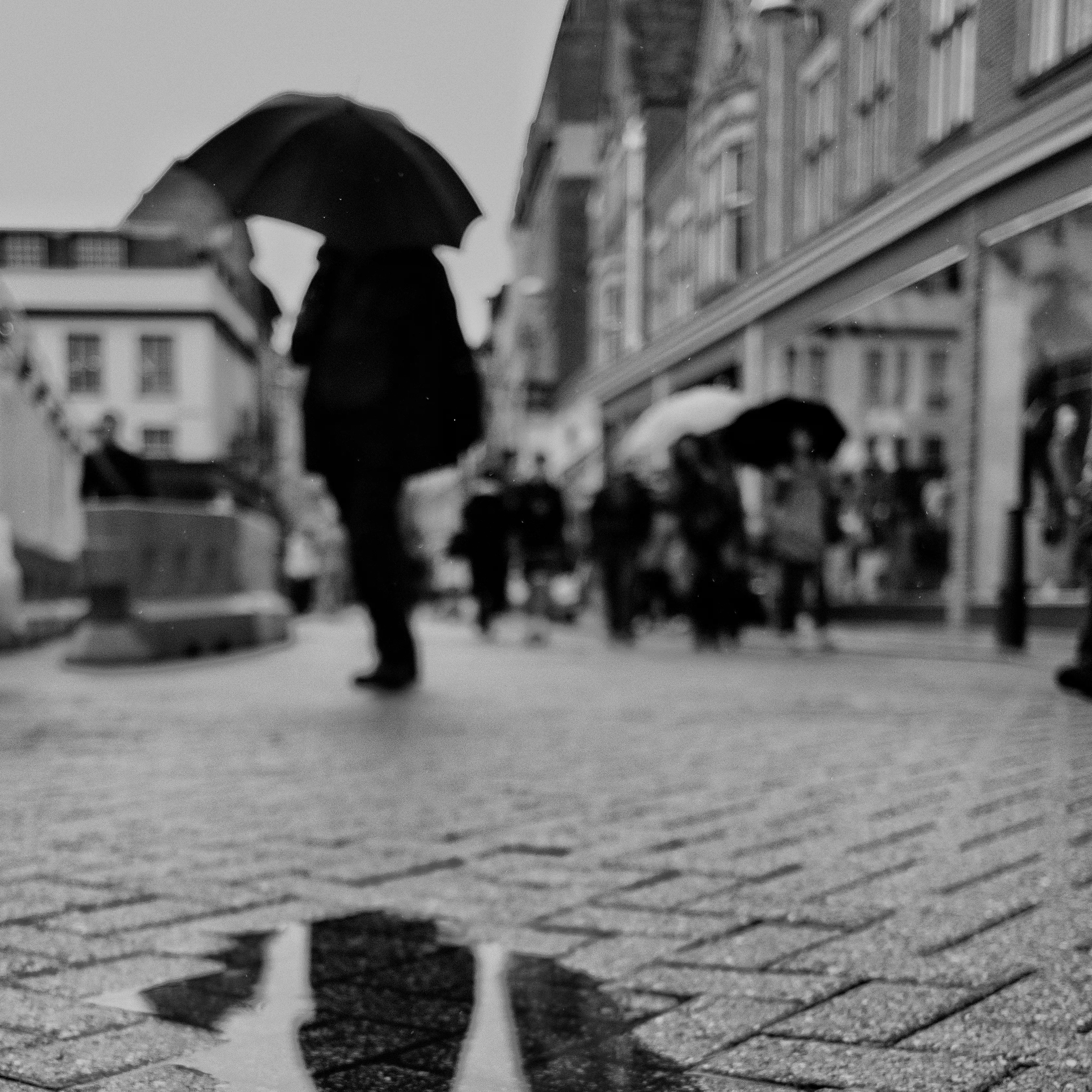 Hire Photowalk: Lincoln - Image 2